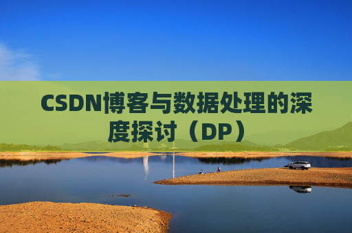 CSDN博客与数据处理的深度探讨（DP）