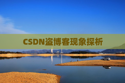 CSDN盗博客现象探析